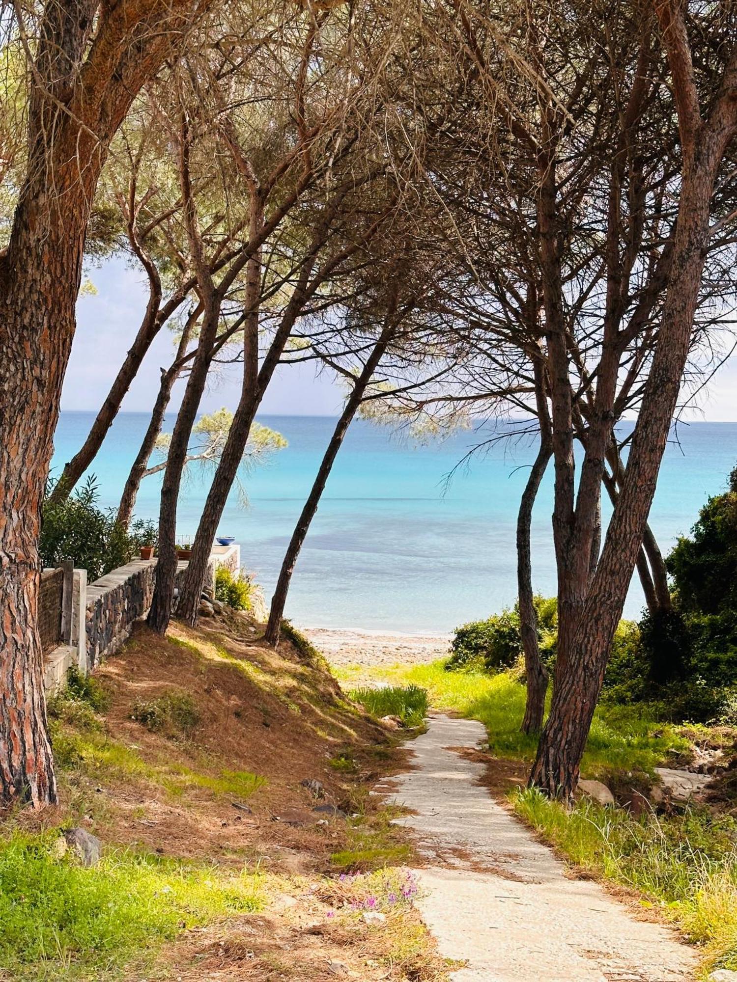 Il Giardino Davanti Al Mare Orosei Dış mekan fotoğraf